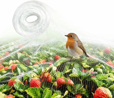 Imagen del producto de Red de protección para pájaros, nylon, 3 x 10 metros, tamaño de malla de 2,5 cm, para balcones