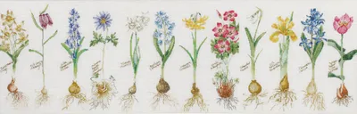 Produktbild von Thea Gouverneur Kreuzstich Stickpackung "Glühbirnen Aida", Zählmuster, 38x108cm