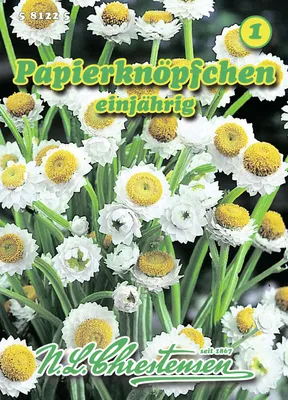 Produktbild von Papierknöpfchen | Blumensamen von N.L. Chrestensen