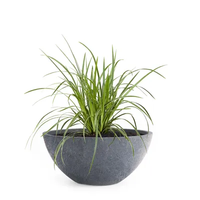 Produktbild von PFLANZWERK® Pflanzschale Pflanzkübel BOWL Ø 45cm LAVA ANTHRAZIT Premium Blumenschale mit Lotus-Effekt Fiberglas Handgefertigt - Rund - Frostbeständig