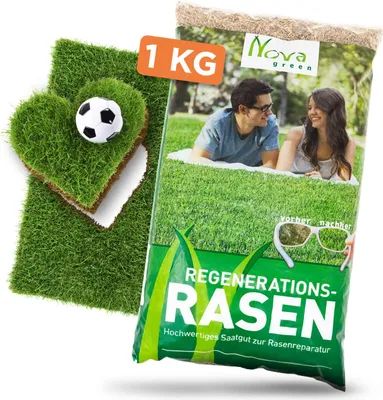 Produktbild von Rasen Nachsaat 1kg