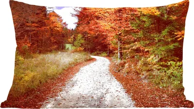 Produktbild von MuchoWow® Zierkissen Sofakissen Wohnzimmer Dekokissen 60x40 cm Herbst - Herbstblätter - Weg - Wald - Kopfkissen - Polster mit Foto