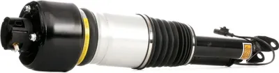 Produktbild von RIDEX 4118A0013 Luftfederbein Stoßdämpfer Vorne Links passend für MERCEDES-BENZ E-Klasse Limousine (W211) E-Klasse T-modell (S211) CLS (C219)