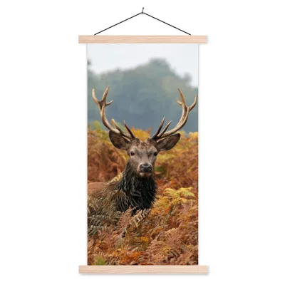 Produktbild von MuchoWow® Textilposter Hirsch - Baum - Herbst 40x80 cm mit holzfarbenen Rahmen - Wohnzimmer