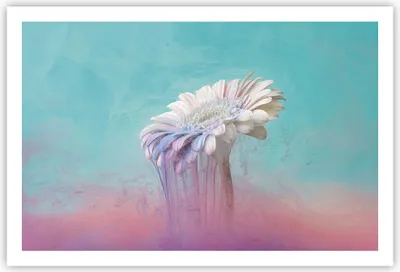 Produktbild von Poster - Poster ohne Rahmen - Modern Grafik Blume - 91,5x61 cm - Wand Bild - Wanddeko - Wandbilder - Kunstposter - Wandposter - Bilder - Kunstdruck - Wanddekoration - Wandbild - P2XAA91x61-4534