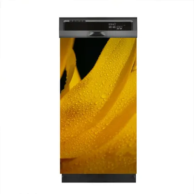 Produktbild von Aufkleber sticker 45x80 cm Dekorative folie Spülmaschine - Sonnenblume Blütenblätter