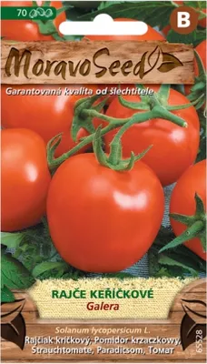 Zdjęcie produktu dla Krzak pomidora GALERA, okrągły 65528