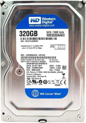 Immagine prodotto di Hdd Hard Disk Disco Rigido 320gb 3,5" Sata Wd Wd3200aakx Computer Fisso Dvr Pc