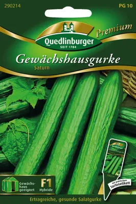 Zdjęcie produktu dla Quedlinburger Saatgut - Ogórek szklarniowy Saturn - Nasiona - 290214