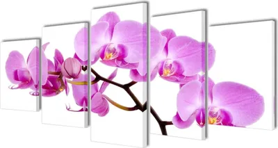 Obrázek produktu pro Obrázky Dekorace sada Orchidej 200 x 100 cm