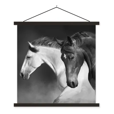 Produktbild von MuchoWow® Textilposter Pferde - Tiere - Schwarz - Weiß - Porträt 40x40 cm mit schwarzem Rahmen - Fotos