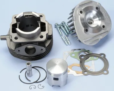 Produktbild von POLINI Thermogruppe D.47 Hub 43 75cc Gusszylinder