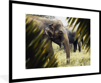 Produktbild von MuchoWow® MuchoWow® Gerahmtes Poster Elefant - Natur - Blätter 90x60 cm - Poster mit zchwarzem Bilderrahmen - Wanddekoration - Fotos