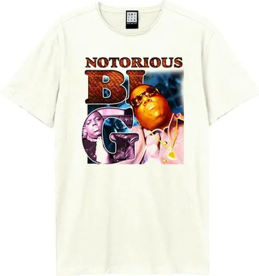 Obrázok produktu pre Amplified - Tričko "90's Bootleg" pre mužov/dámy Uni GD1828 (M) (White)