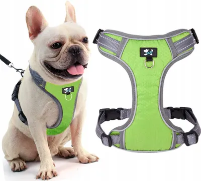 Produktbild von Hundegeschirr M Atmungsaktiv Reflektierend Wasserdicht Verstellbar
