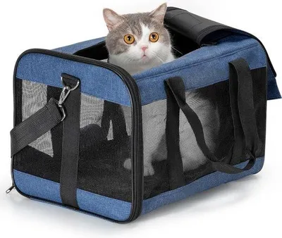 Produktbild von Famanu Transportbox für Hunde und Katzen - Faltbare Tierbox für Reisen