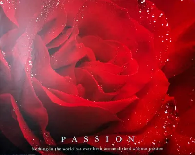 Immagine prodotto di Rose - Passione - 40x51 cm - Poster