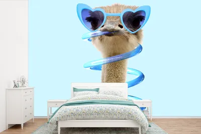 Produktbild von MuchoWow® Fototapete für Wohnzimmer oder Schlafzimmer Wandtapete Vinyl Motivtapete Strauß - Sonnenbrille - Blau - Tiere - 360x240 cm - Vinyl-Tapete