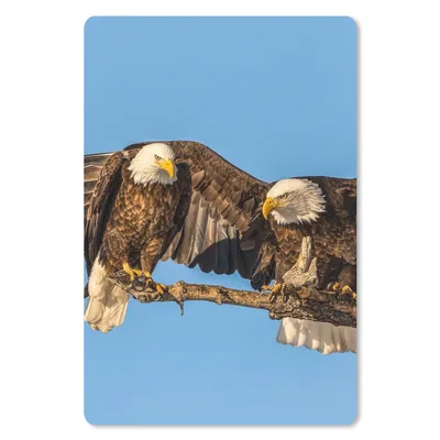 Produktbild von MuchoWow® Mauspad Mousepad Vogel - Äste - Adler - Raubvögel - Luft 40x60 cm - Mousepads - Maus Mat - Pad - Mausunterlage - Schreibtisch Accesoire
