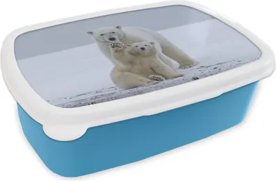 Produktbild von KitchenYeah® Lunchbox Brotzeit Brotdose 17x11 cm Eisbär - Kind - Schnee Kinder Brotzeitdose - Lunch - Kunststoff  - Brotbüchse - Sandwichbox - Lunchbox für Kinder