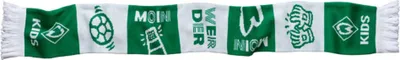 Produktbild von SV Werder Bremen Schal Shorty Icons