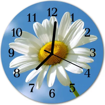 Produktbild von Glasuhr Wanduhr Küchenuhr Echt-Glas 30fi cm Blume weiß