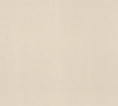 A plain, textured background.