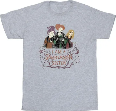 Produktbild von Disney - "Hocus Pocus Sanderson Sister" T-Shirt für Herren BI22411 (3XL) (Grau)