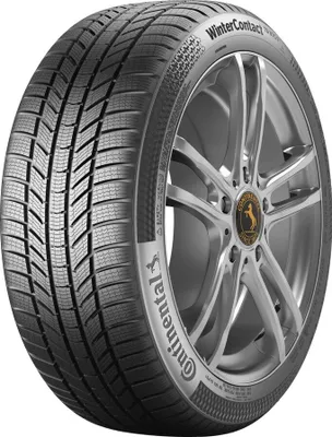 Zdjęcie produktu dla CONTINENTAL WinterContact™ TS 870 P (EVc) 255/45R19 104V FR BSW XL