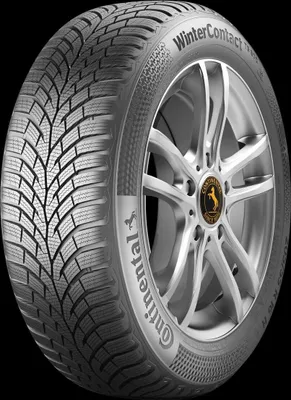 Immagine prodotto di Pneumatici CONTINENTAL 205/55 R16 91H WinterContact™ TS870