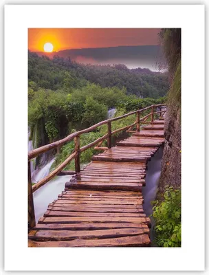 Produktbild von Poster - Poster ohne Rahmen - Park Natur Wasser - 30x40 cm - Wand Bild - Wanddeko - Wandbilder - Kunstposter - Wandposter - Bilder - Kunstdruck - Wanddekoration - Wandbild - P2XPA30x40-3962