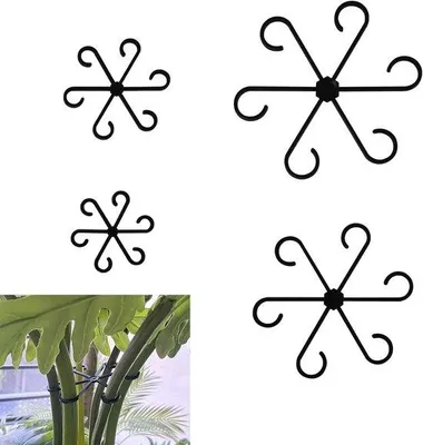 Image de Tuteurs pour plantes, 24 pièces de différentes tailles, anneaux de jardin