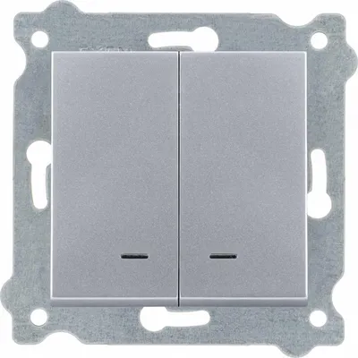 Image de Interrupteur double avec éclairage Argent 203/10E EXEN