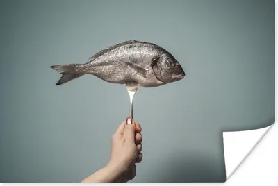 Produktbild von MuchoWow® Poster Fisch auf einer Silbergabel 60x40 cm - Schlafzimmerdekoration