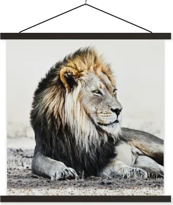 Produktbild von MuchoWow® Textilposter Tiere - Porträt - Farbe 90x90 cm mit schwarzem Rahmen - Magnetisches