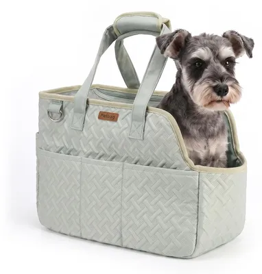 Hundetasche bis 5 kg, faltbar, mit Schultergurt, grün