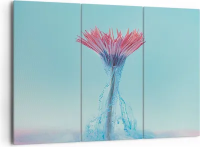Produktbild von Bild auf Leinwand - Leinwandbild - 3 Teile - Rosa Gänseblümchen Tinte - 165x110cm - Wand Bild - Wanddeko - Wandbilder - Leinwanddruck - Bilder - Wanddekoration - Leinwand bilder - CE165x110-4537