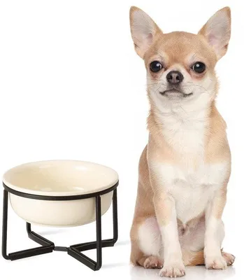 Immagine prodotto di Comoda ciotola per cani con base antiscivolo - 400 ml - Colore crema