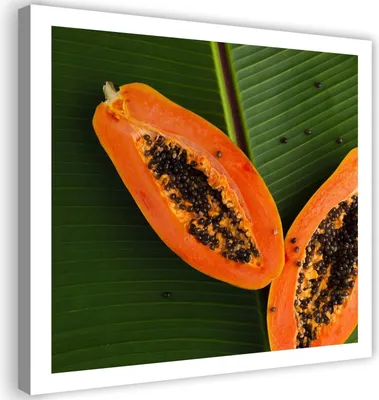 Produktbild von Leinwandbild papaya auf einem blatt 60x60 cm Feeby orange wandbild bereit zum aufhängen