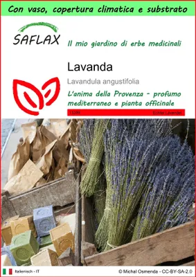 Immagine prodotto di SAFLAX Garden to go - Lavanda - 150 semi - Lavandula