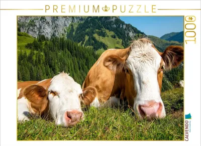 Produktbild von CALVENDO Puzzle So haben sie es gern | 1000 Teile Lege-Größe 64x48cm Foto-Puzzle für glückliche Stunden