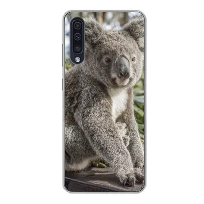 Produktbild von MuchoWow® Handyhülle Schutzhülle Hülle für Samsung Galaxy A50 Koala - Regal - Pflanzen - Kinder - Jungen - Mädchen Silikon Softcase Handy Hülle - Mobiltelefonhülle