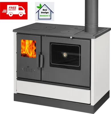 A collage featuring a wood-burning stove and promotional elements like a free delivery icon and an eco-design badge.