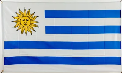 Produktbild von Flagge 90 x 150 : Uruguay