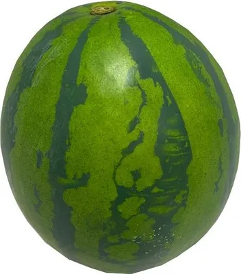 Produktbild von artplants.de Kunstobst Wassermelone BERCA, grün, Ø15cm - Deko Obst