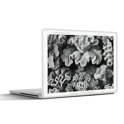 Produktbild von MuchoWow® Laptop Aufkleber Sticker Cover Kunst - Koralle - Ernst Haeckel - Alte Meister - Natur 30x21 cm - Sticker für Laptop - Selbstklebend