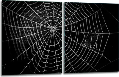 Produktbild von Herdabdeckplatten 2x40x52 Glaskeramikkochfeld 2-Teilig Glas Spritzschutz Schwarz