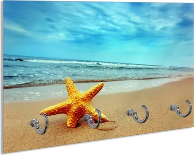 Produktbild von Wallario Handtuchhalter aus Glas, Motiv: Seestern am Strand am Meer, 30 x 20 cm mit 4 Haken
