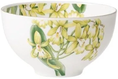 Obrázek produktu pro Villeroy & Boch Amazonia Bol 500 ml