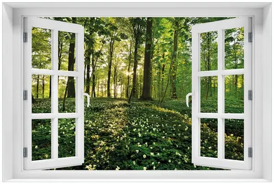 Produktbild von Wallario Premium Glasbild mit Fensterrahmen, freischwebende Optik, kräftige Farben, Größe 60 x 90 cm Motiv Waldanemonen und Sonnenstrahlen im Wald
